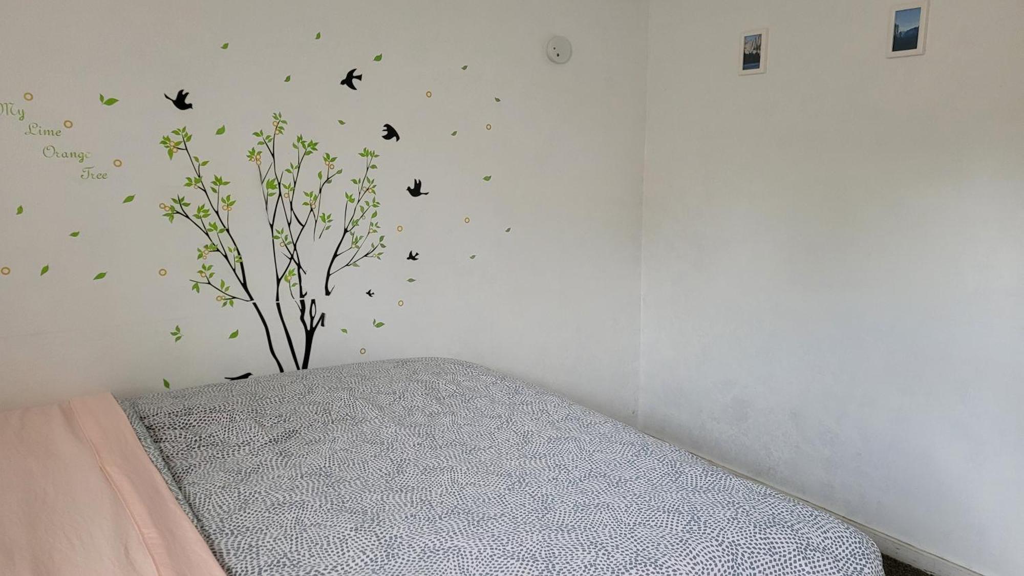 גרובלנד Yosemite International Hostel מראה חיצוני תמונה